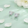 Sterling Silver American Diamond Earrings - Aggarwal jewels
